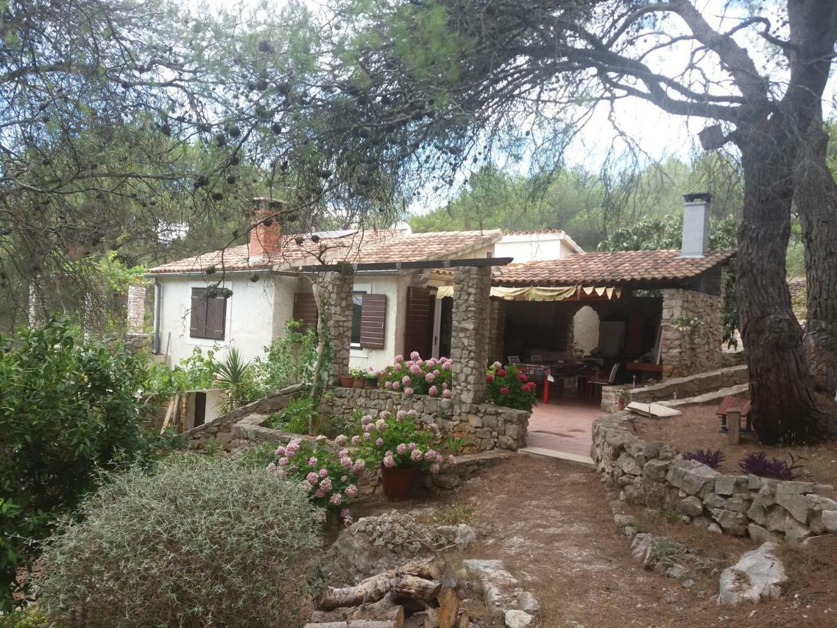 فيلا Juka House ميلنا المظهر الخارجي الصورة